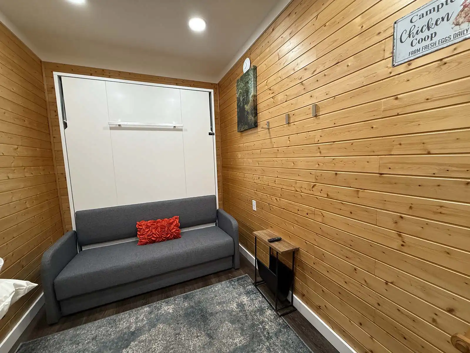 Deer Xing sofa and fold-down Murphy bed cabinet