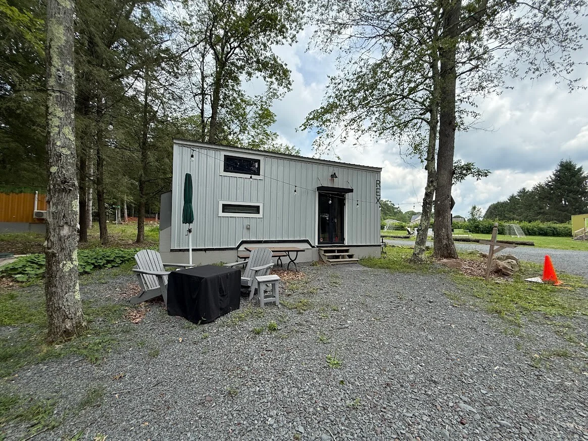 Rex loft cabin and wooded surroundings